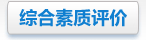 綜合素質(zhì)評價